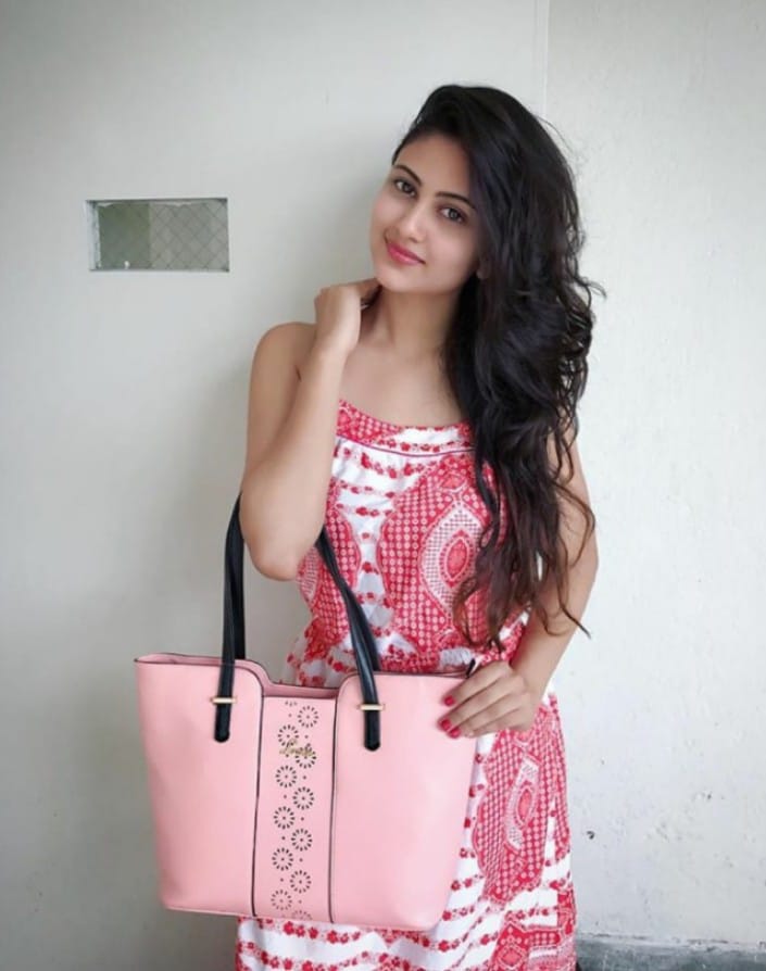 Ludhiana Escorts