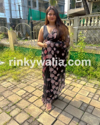 Ludhiana Call Girls service