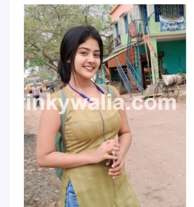 model Call Girls in Ludhiana